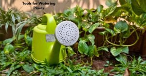 Tools for Watering Plants