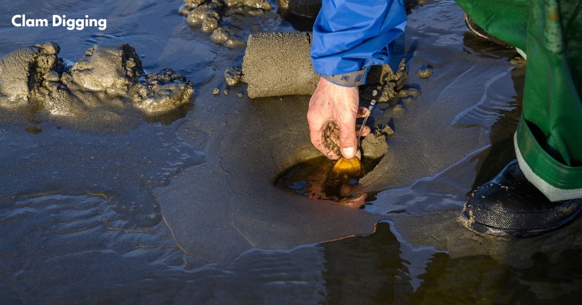 Clam Digging