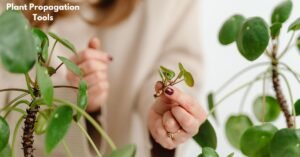 Plant Propagation Tools