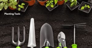 Planting Tools